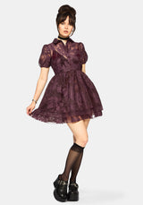Spectre Gelagert Mini Hemd Kleid - Burgunderrot