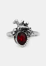 Corium Anatomisch Kette Rings Set Von 3