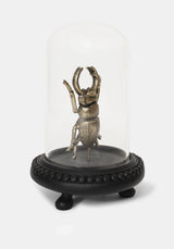 Lyra Käfer In Jar