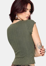 Lucera Short Sleeve Pointelle Scoop Neck Top - Khaki