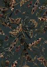 Whispen Moth Print Midi Shirt Dress