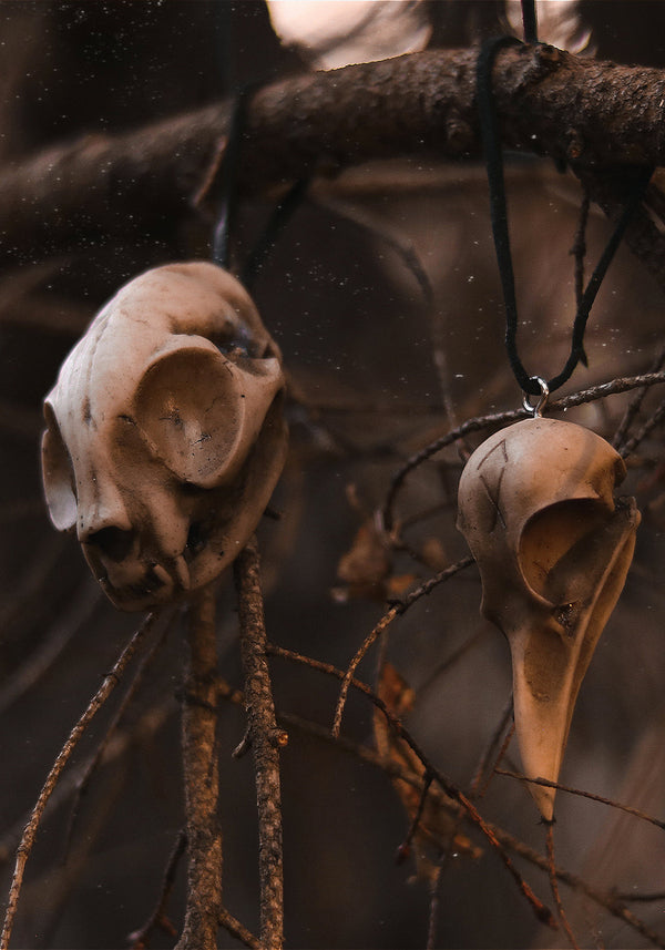 Rabe Schädel Offering