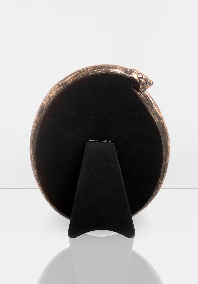 Schlange Mirror