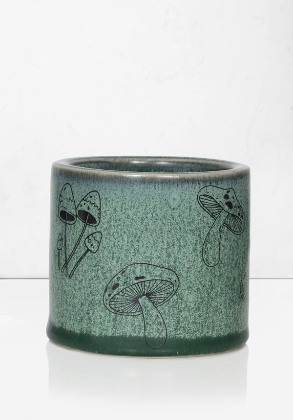 Shrooms Planter