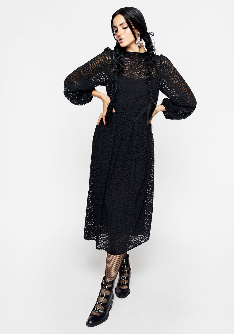Blackwellia Spitze Midi Kleid