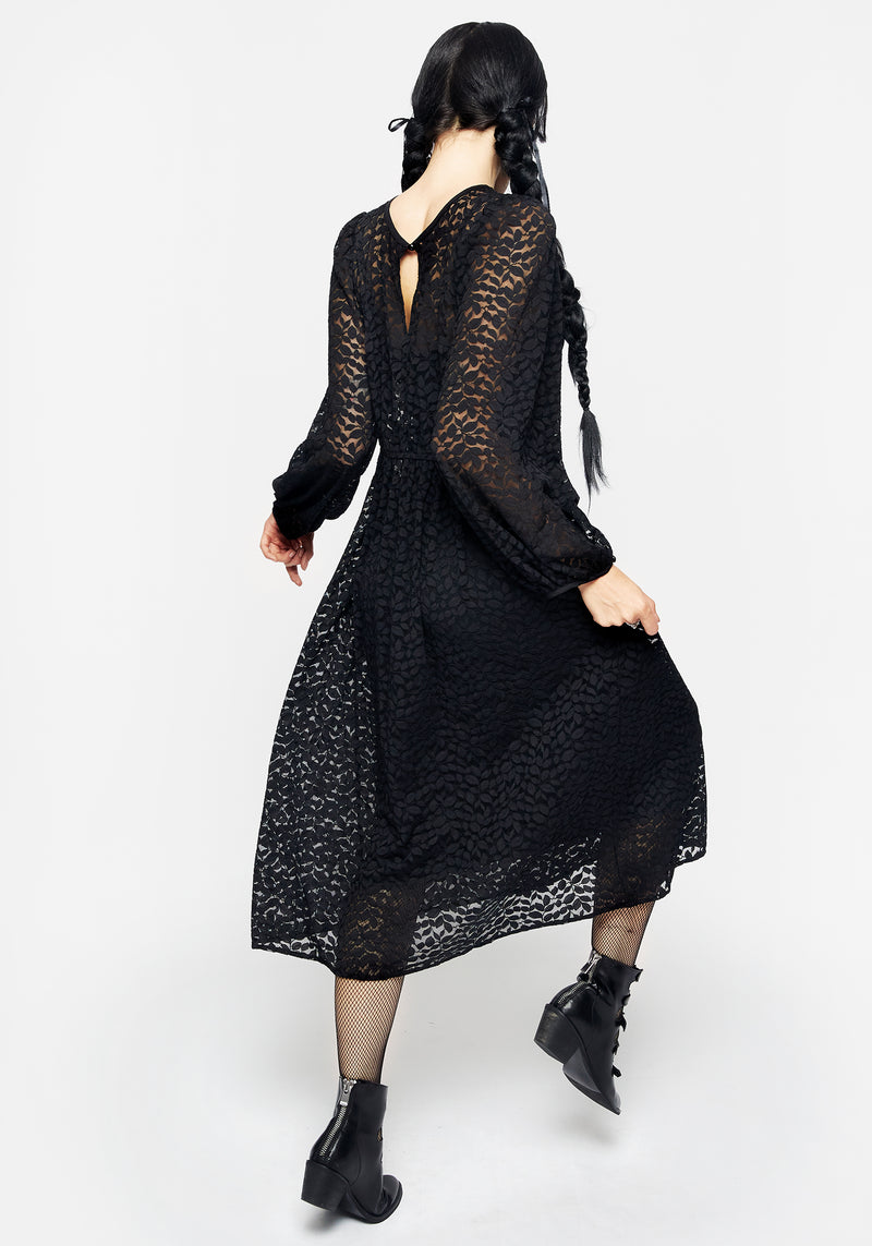 Blackwellia Spitze Midi Kleid