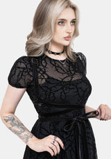 Zaphira Skinny Wrap Harness