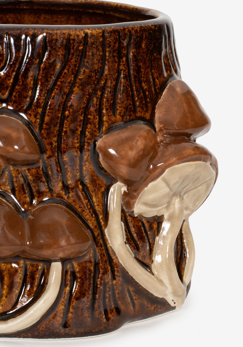 Mortierella Pilz Becher