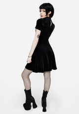 Cameo Hoch Hals Beflockt Mesh Insert Skater Mini Kleid