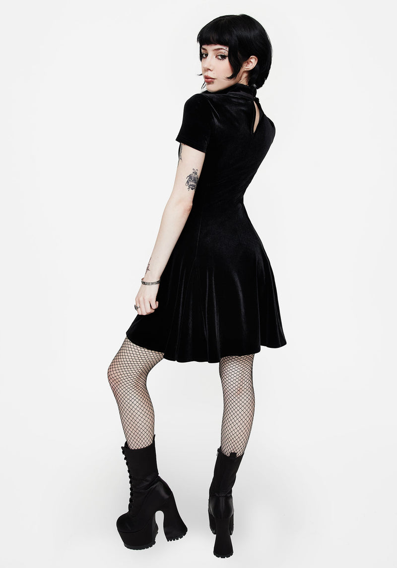Cameo Hoch Hals Beflockt Mesh Insert Skater Mini Kleid