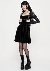 Vice Lace Sleeve Velour Mini Dress