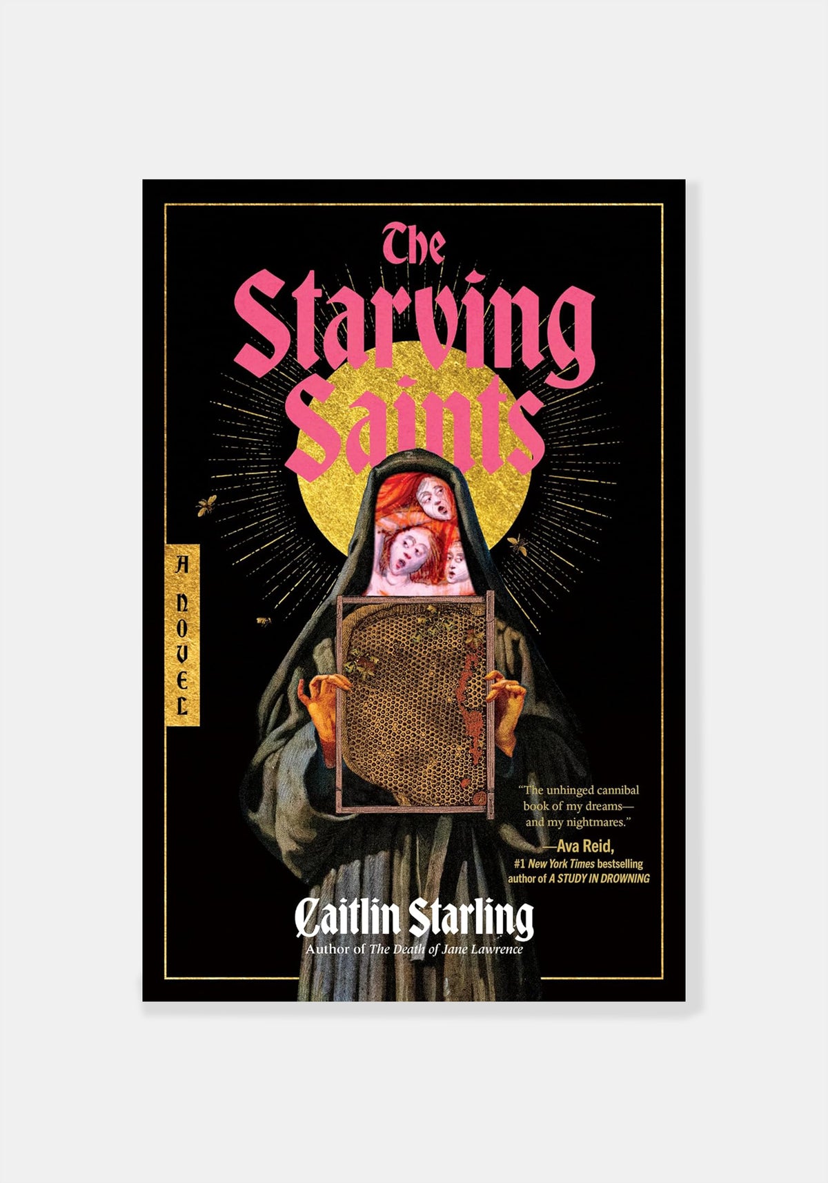 The Starving Saints - Caitlin Starling