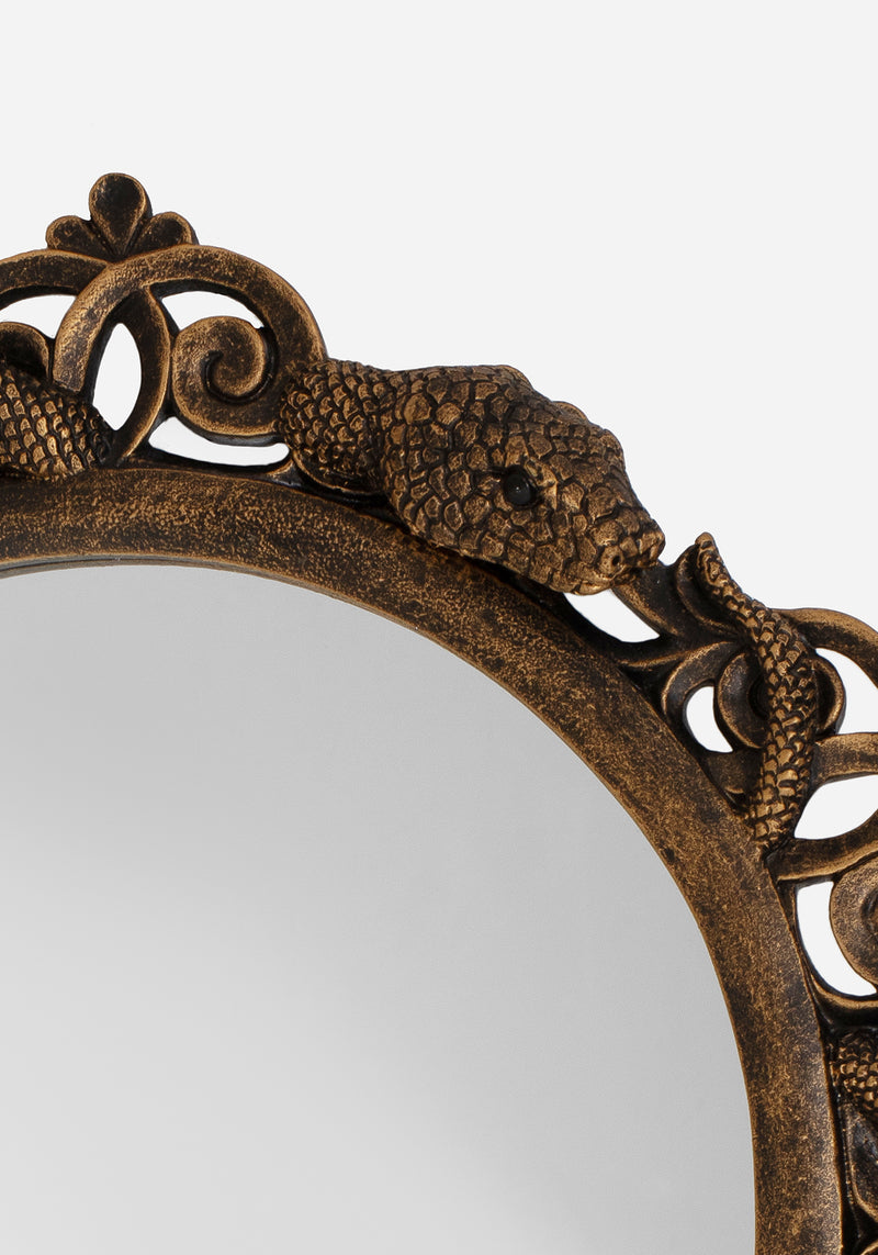 Vasuki Twisted Schlange Mirror