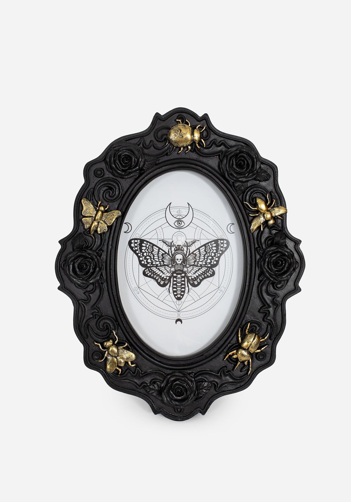 Henbane Käfer Photo Frame