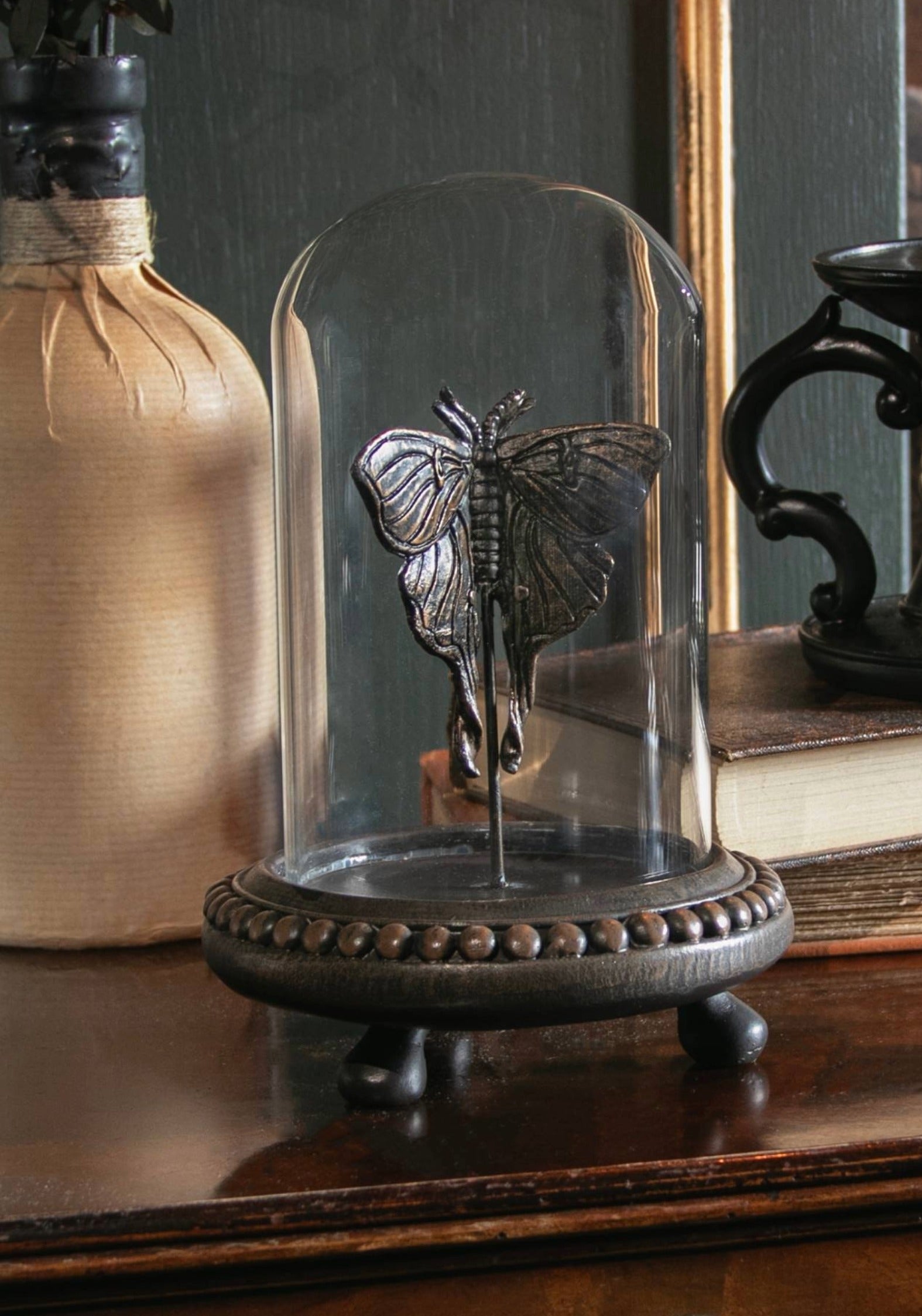 Luna Motte In Jar