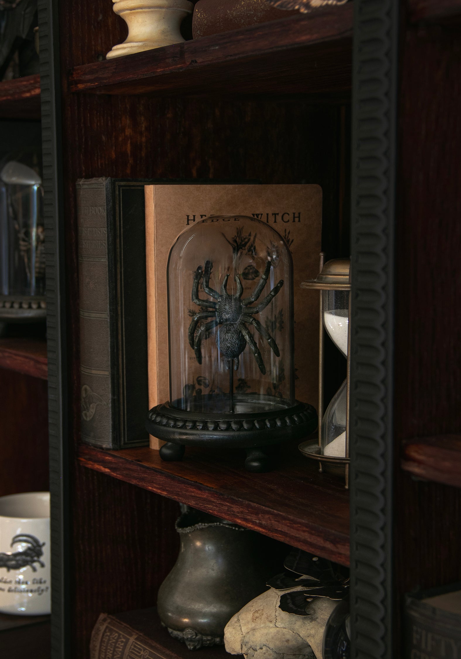 Arachne Spinne In Jar