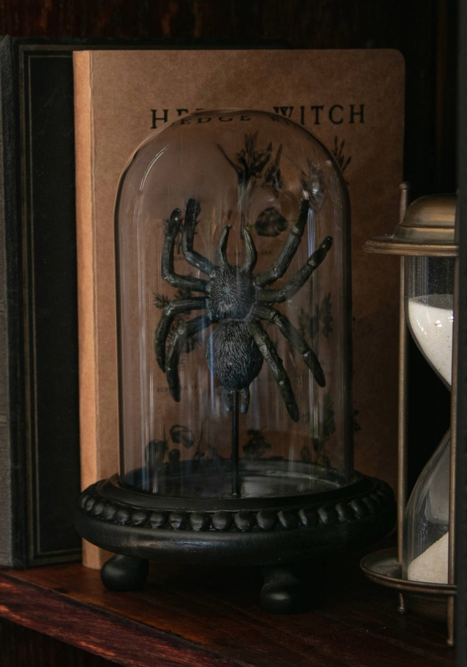Arachne Spinne In Jar