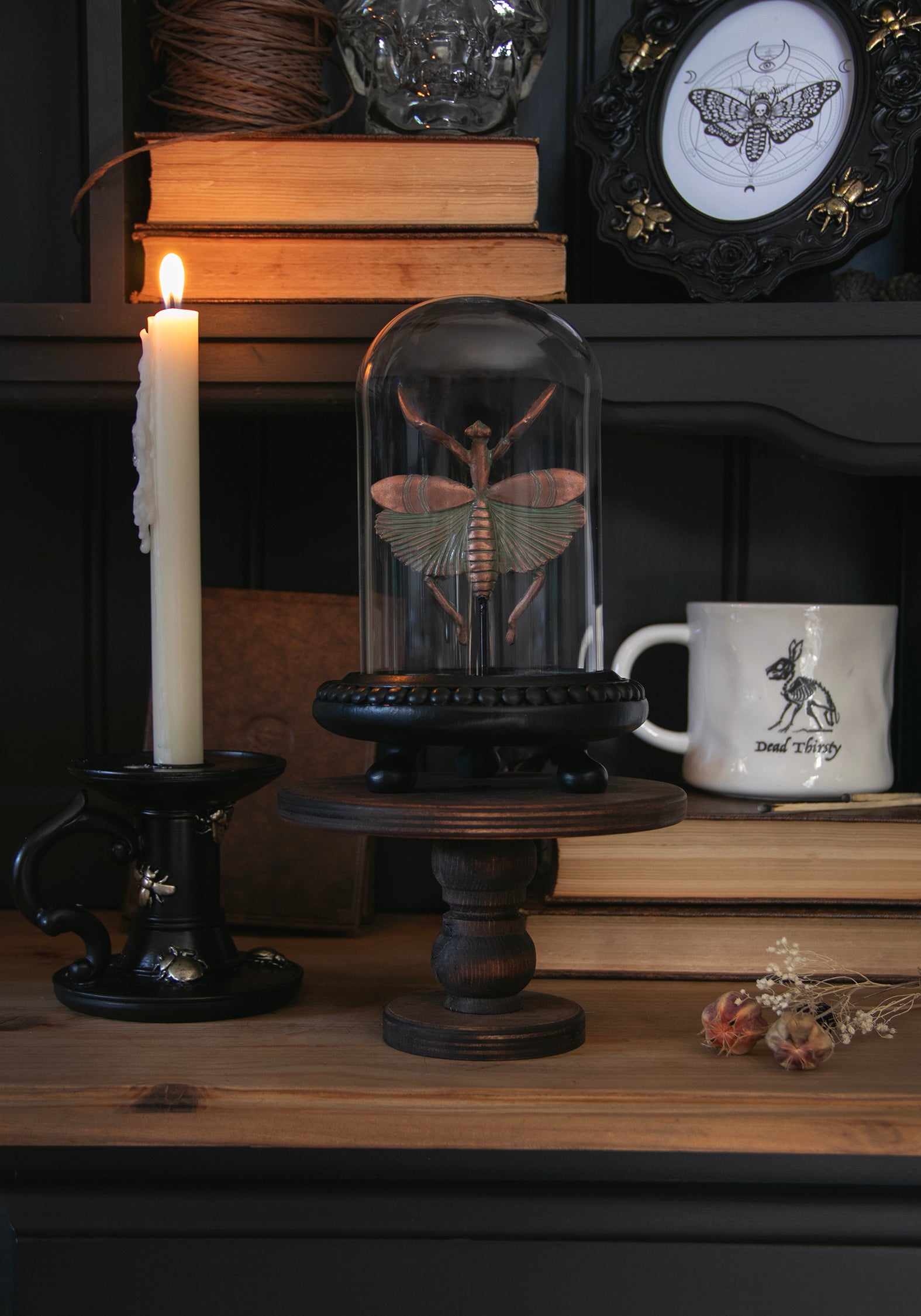 Nerissa Käfer In Jar - Bronze & Grün