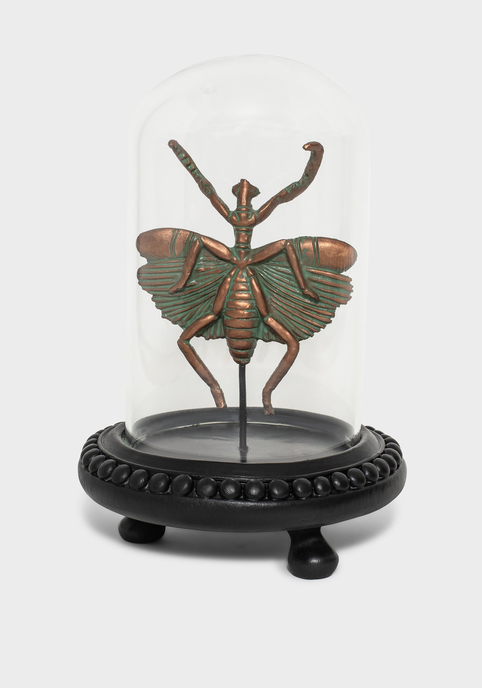 Nerissa Käfer In Jar - Bronze & Grün