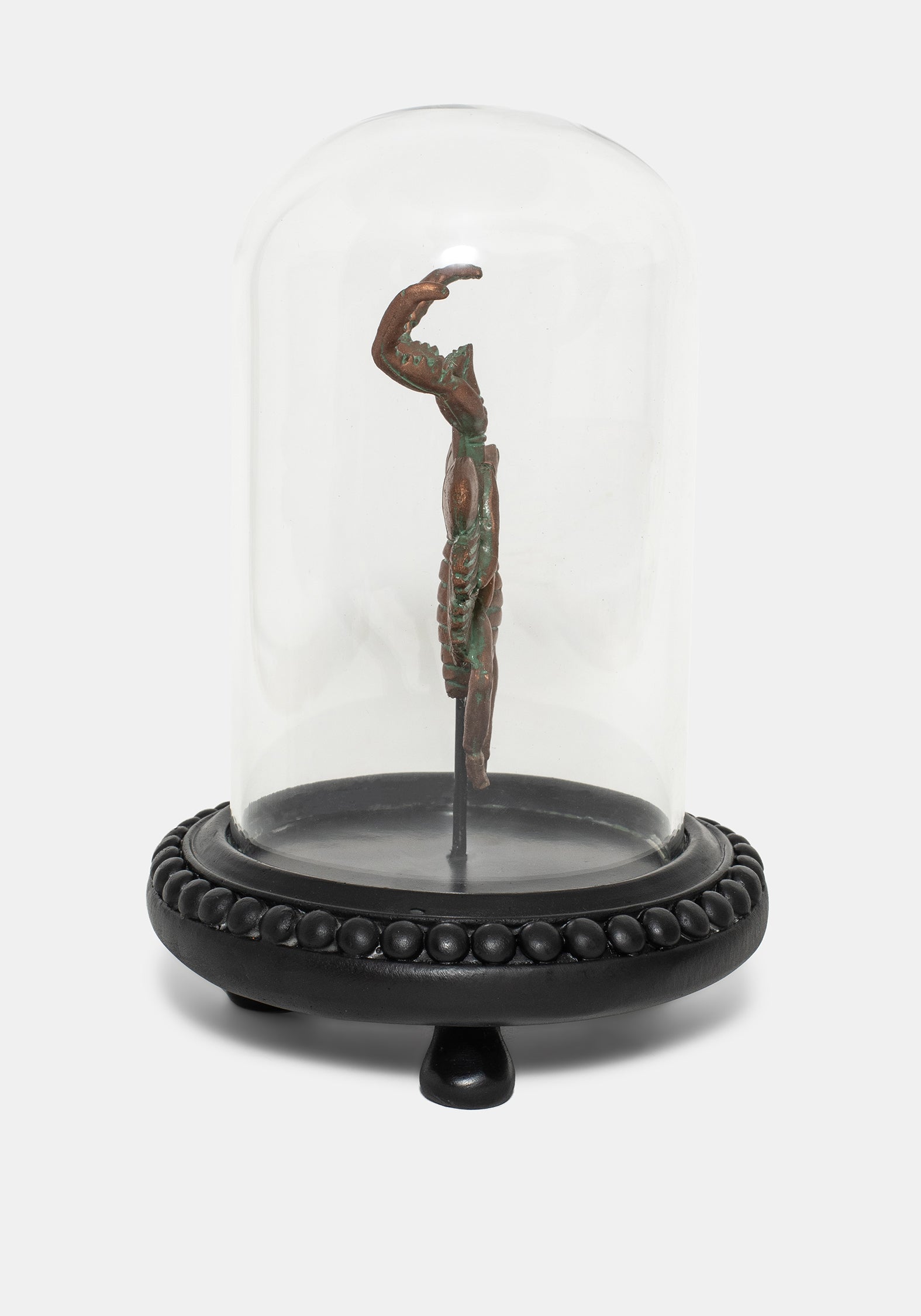 Nerissa Käfer In Jar - Bronze & Grün