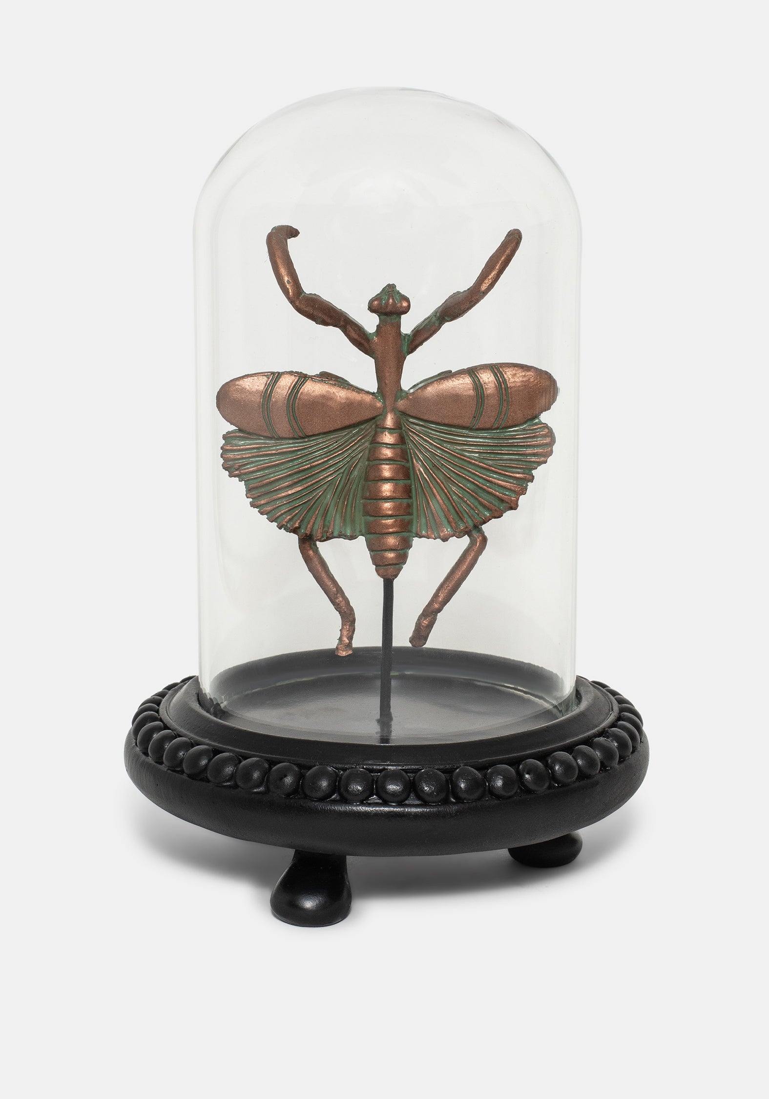 Nerissa Käfer In Jar - Bronze & Grün