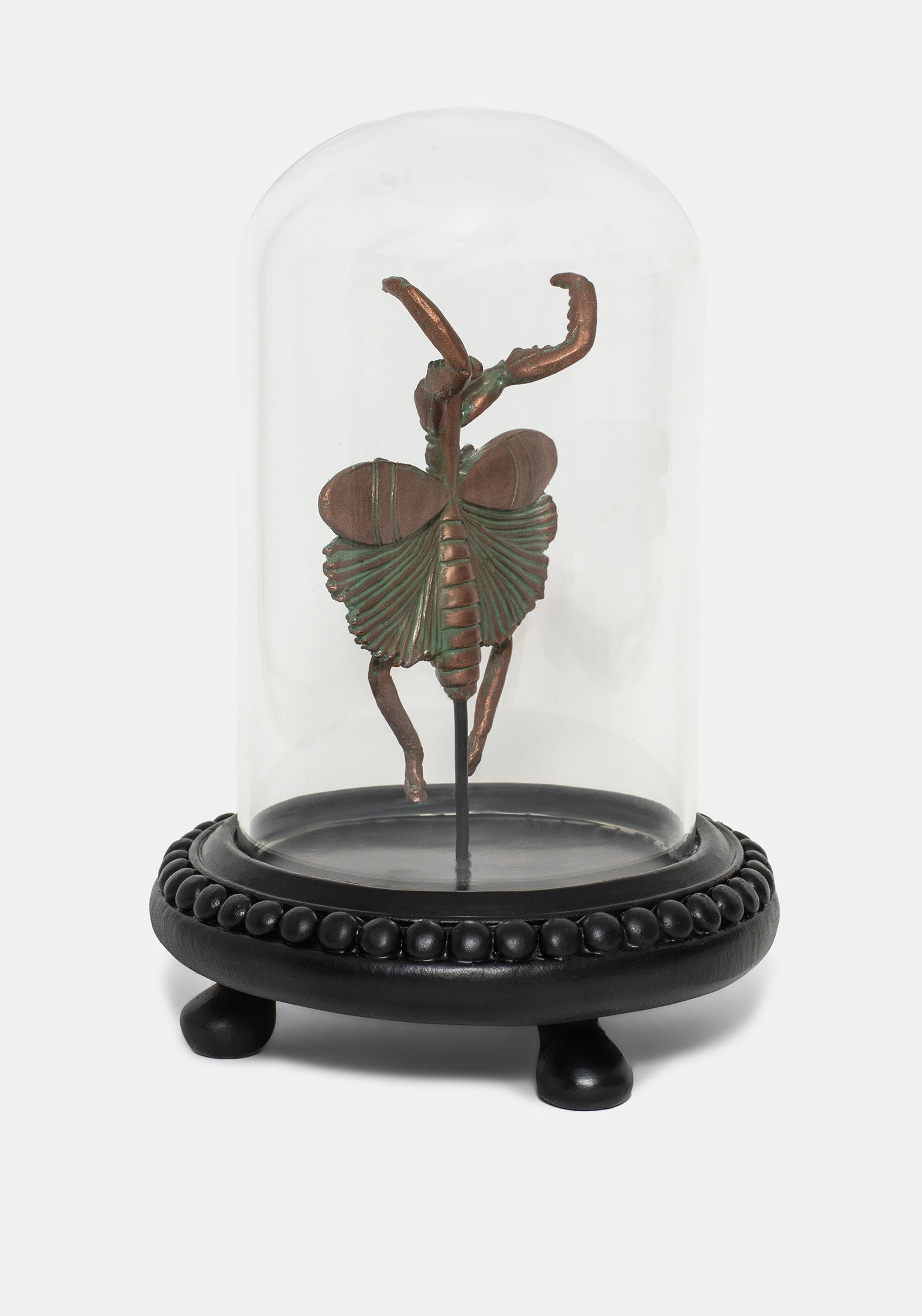Nerissa Käfer In Jar - Bronze & Grün