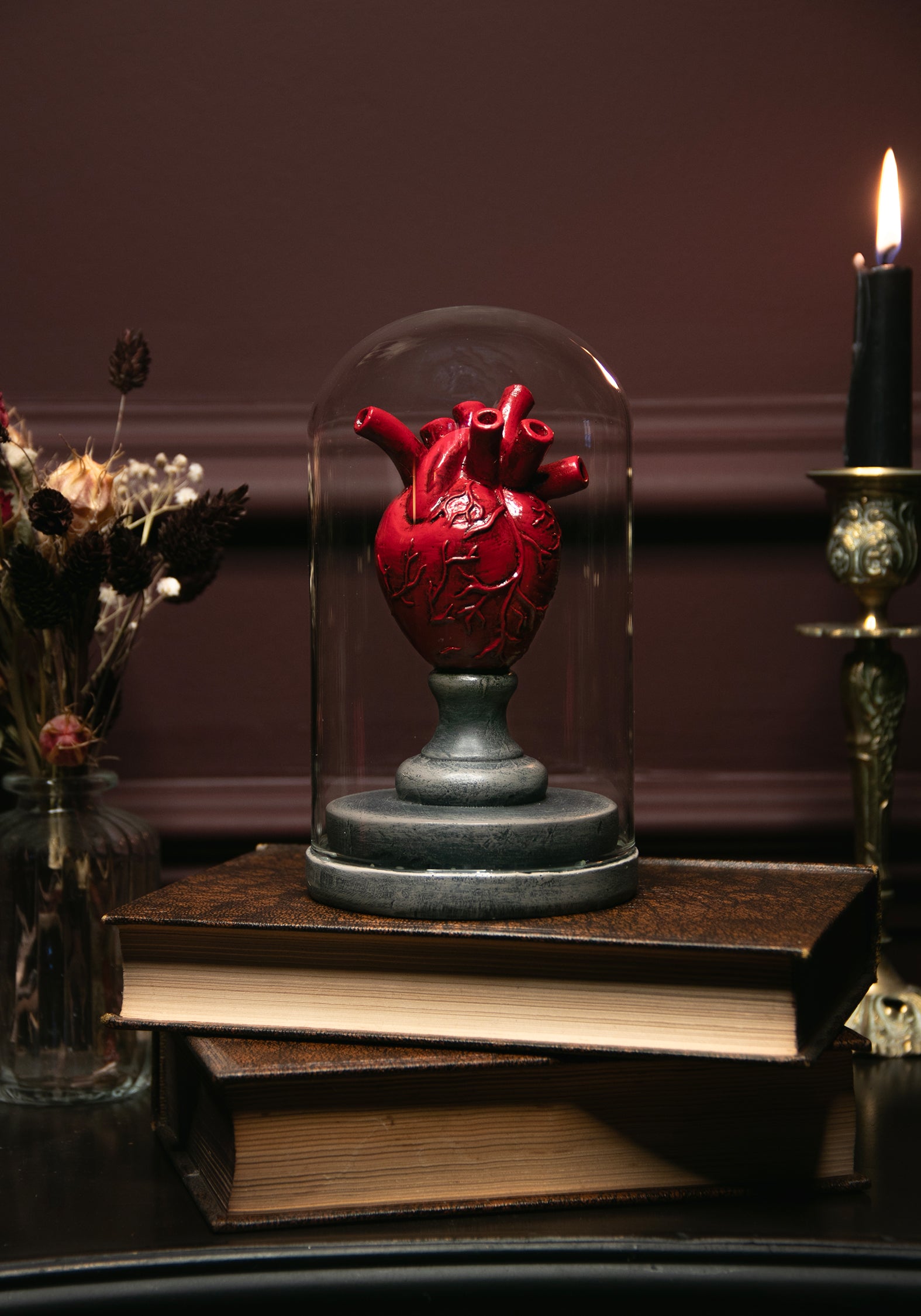 Cordis Herz In Jar