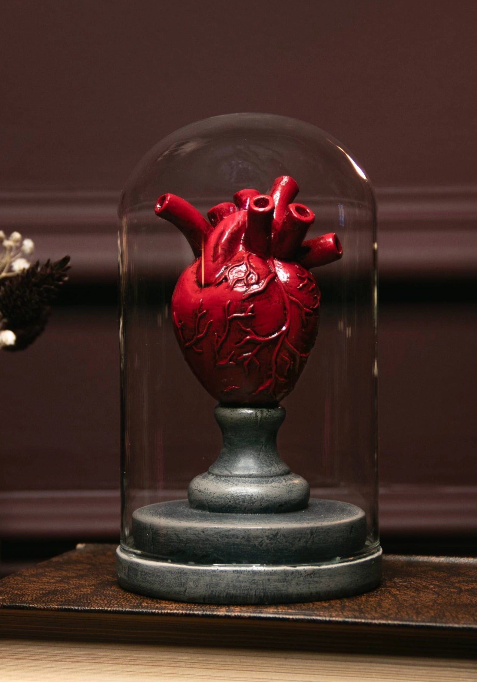 Cordis Herz In Jar