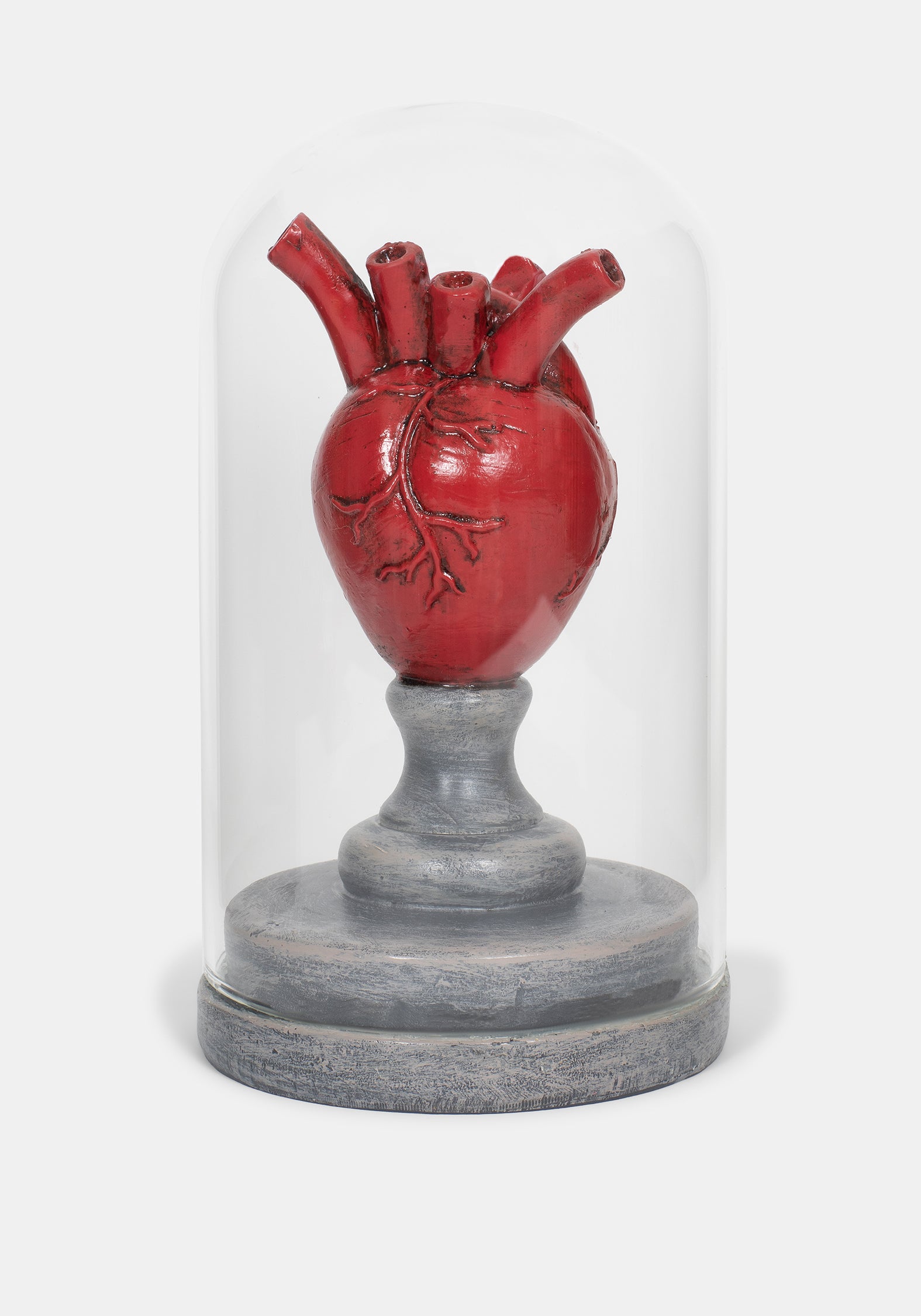 Cordis Herz In Jar