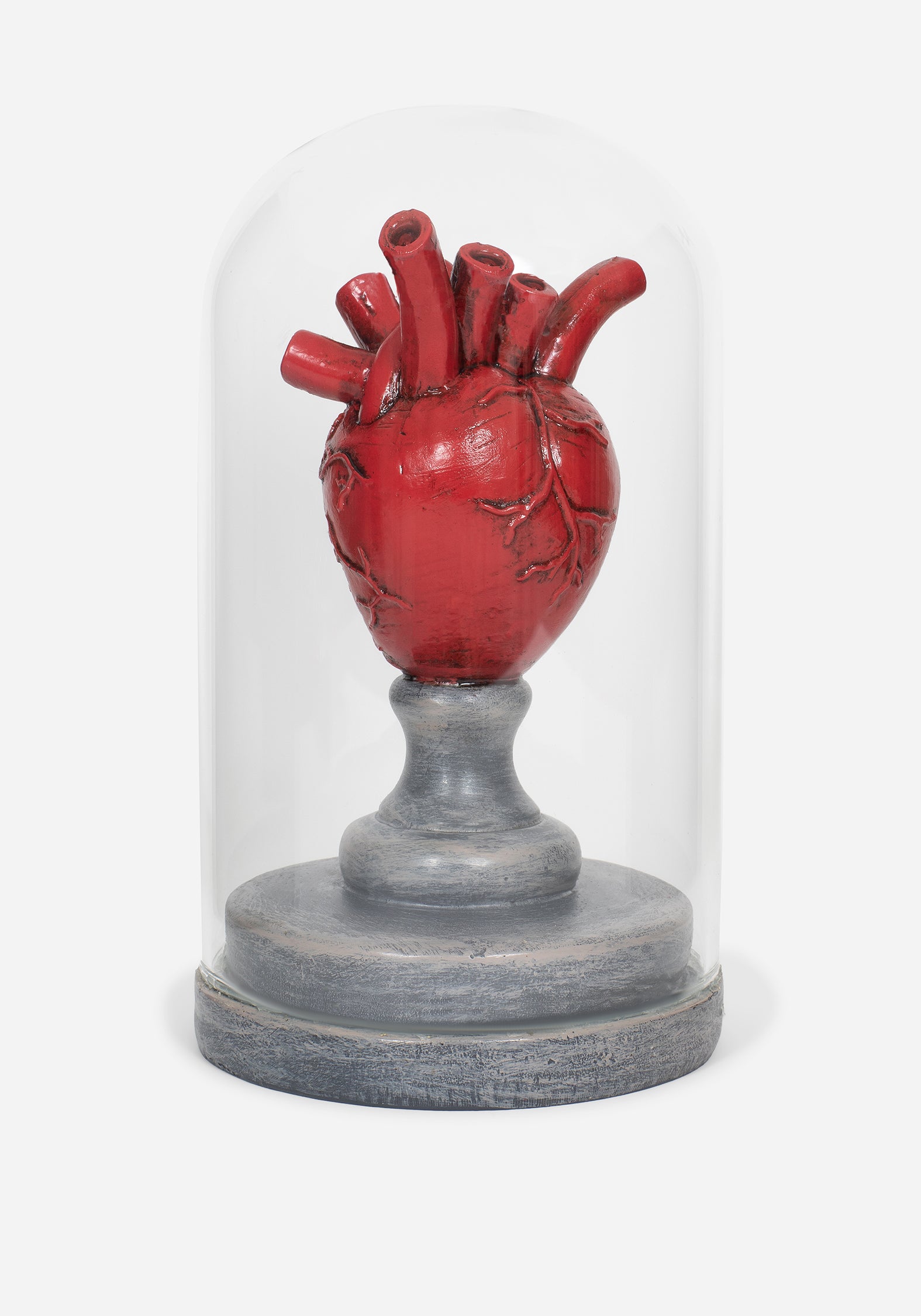 Cordis Herz In Jar