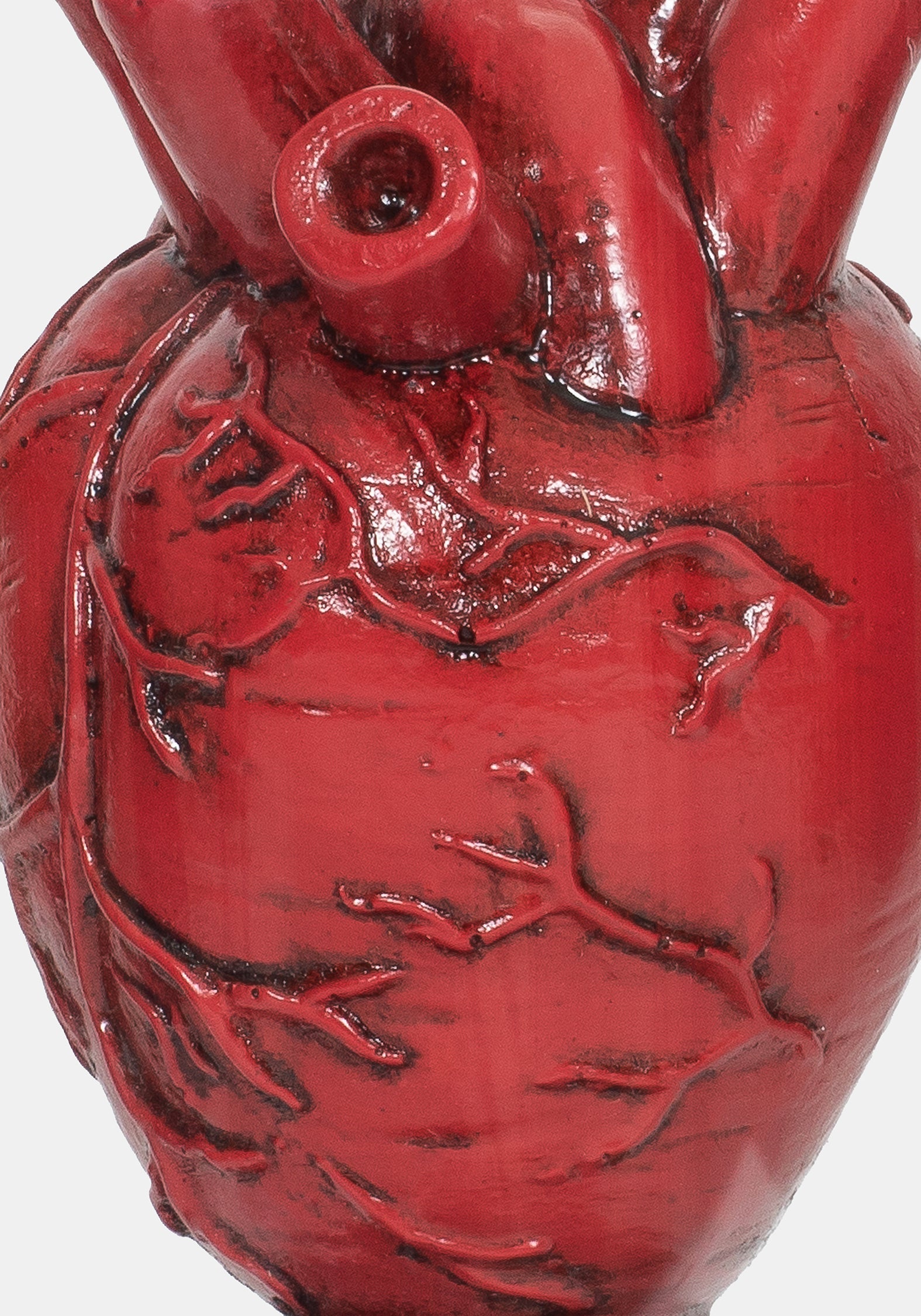 Cordis Herz In Jar