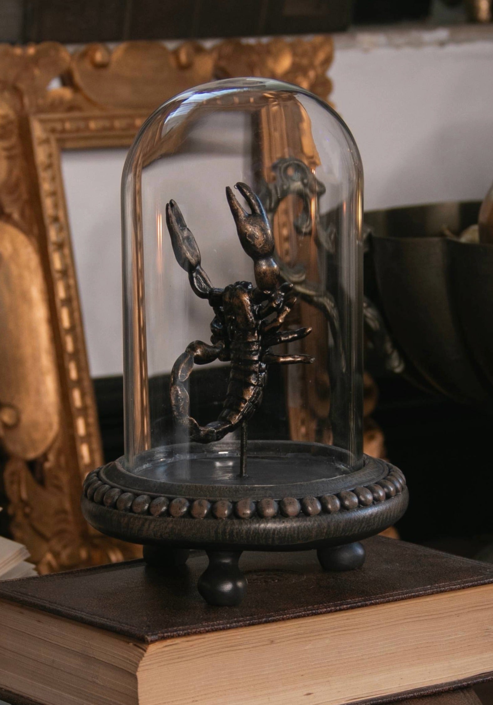 Skara Skorpion In Jar