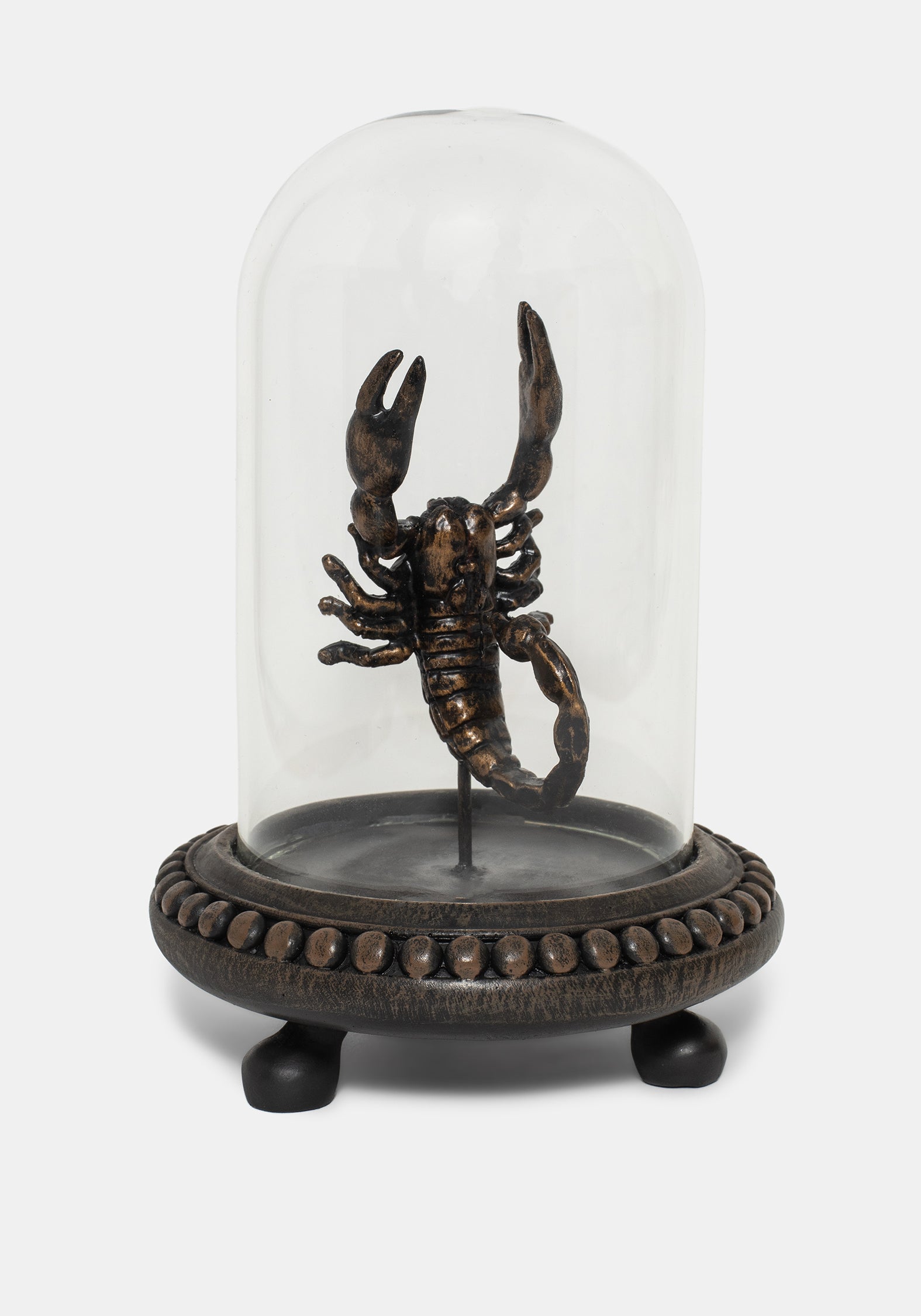 Skara Skorpion In Jar