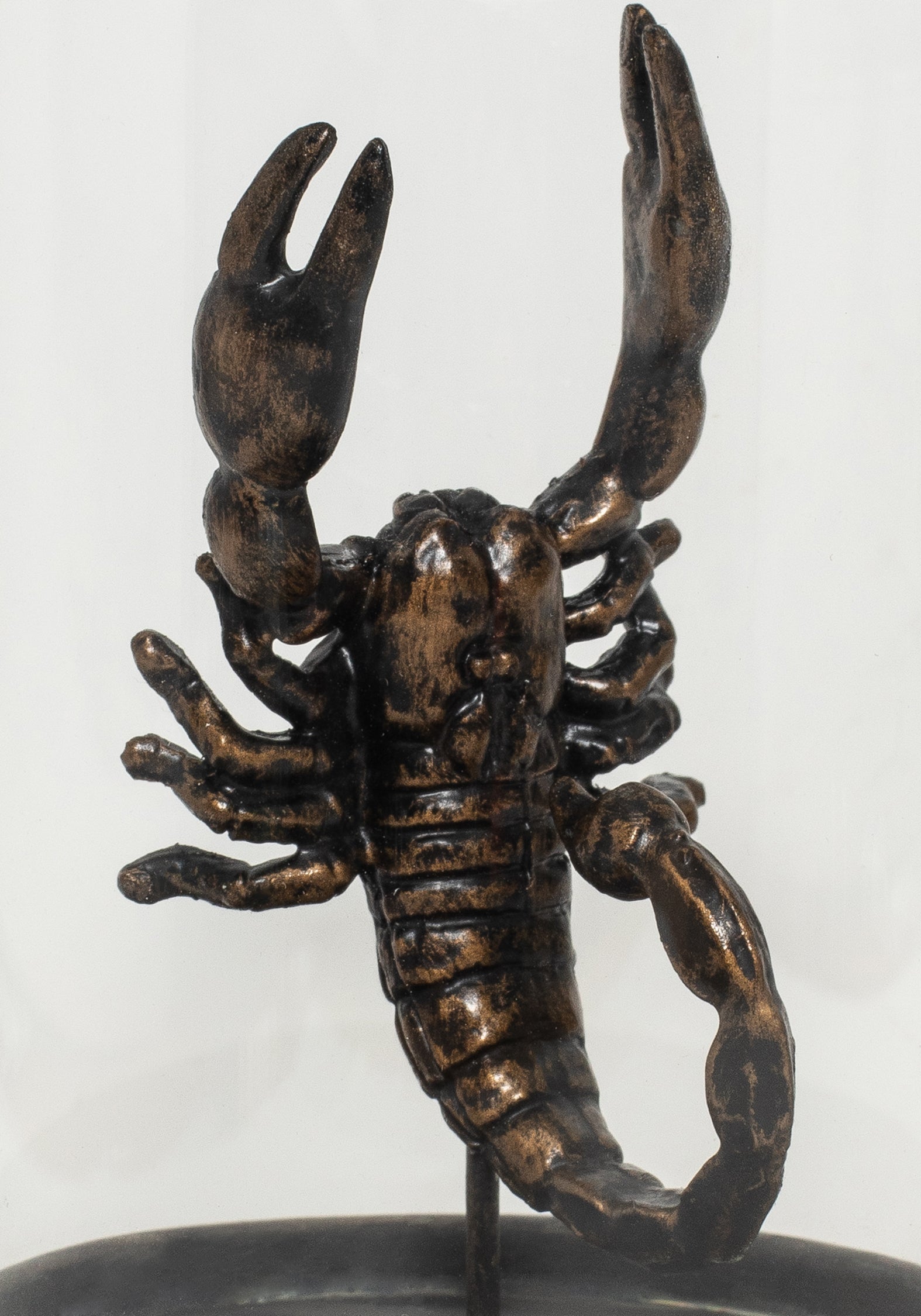 Skara Skorpion In Jar