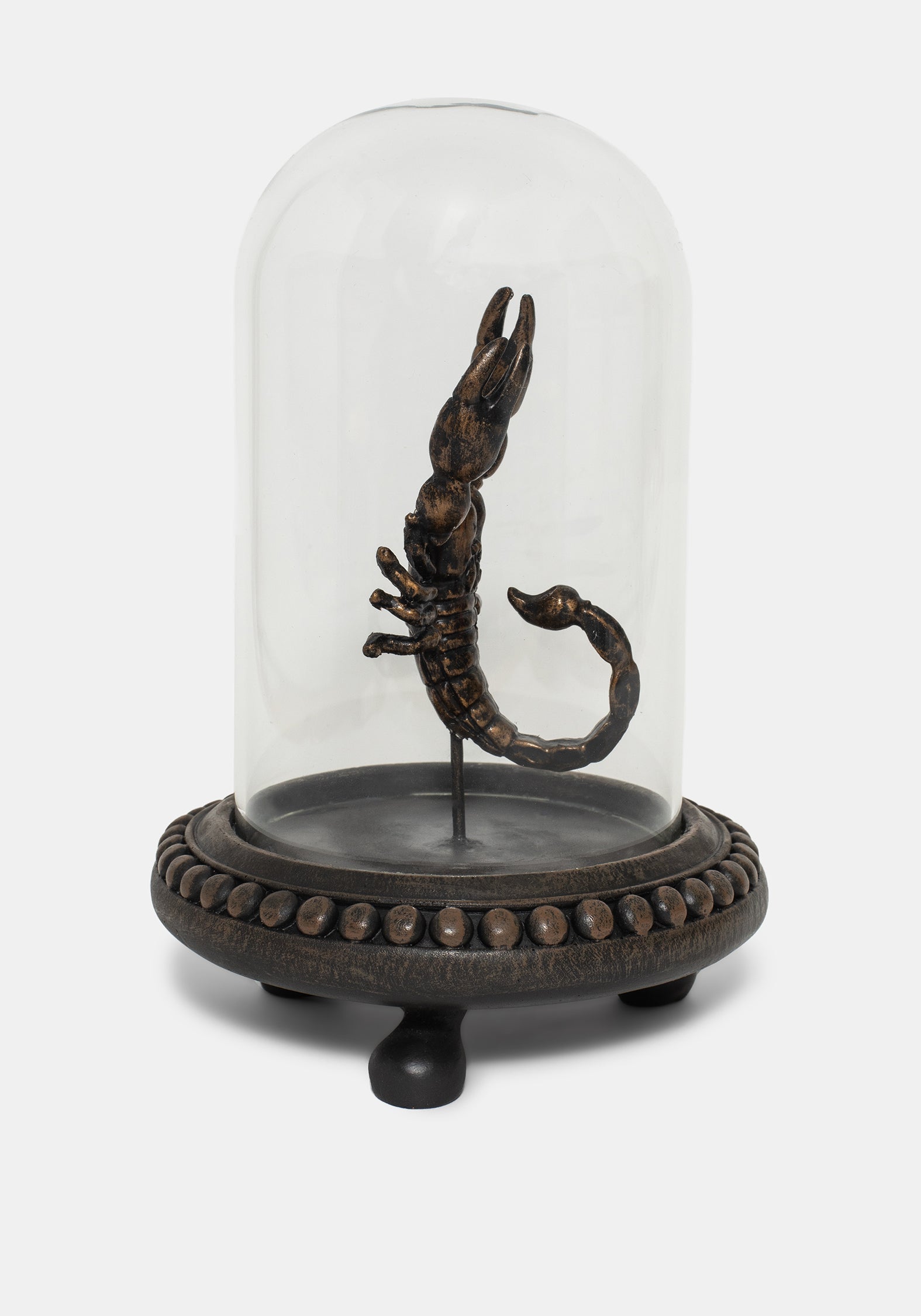 Skara Skorpion In Jar