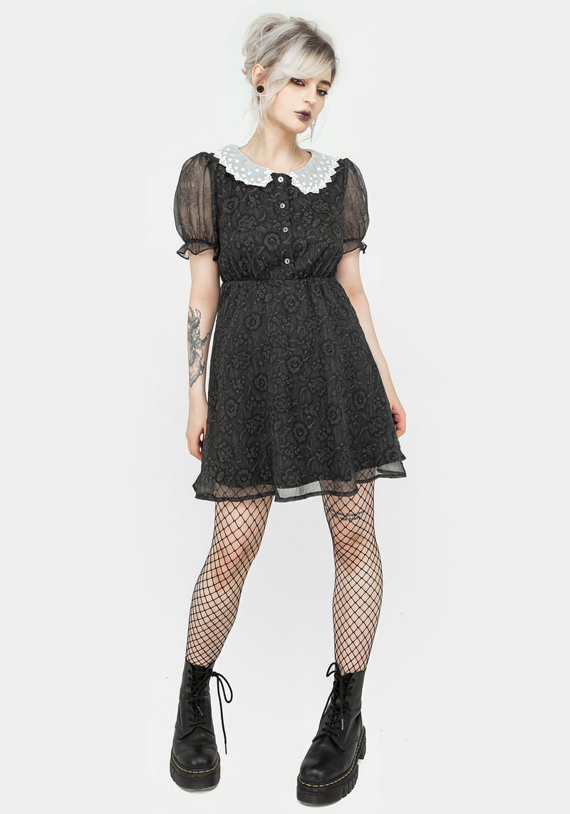 Phantasma Spitze Kragen Mini Kleid