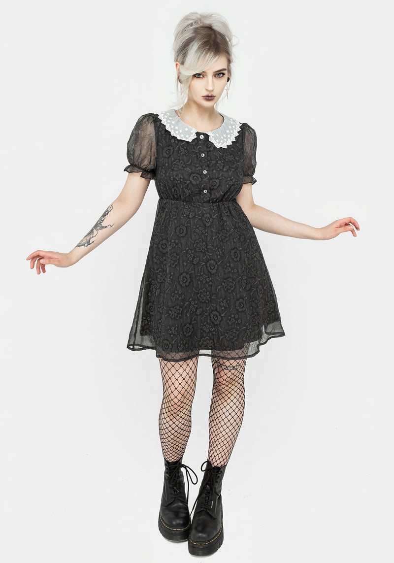 Phantasma Spitze Kragen Mini Kleid