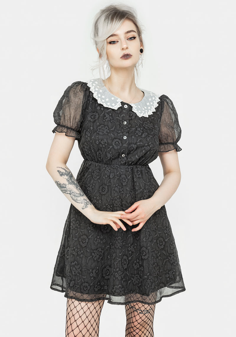 Phantasma Spitze Kragen Mini Kleid