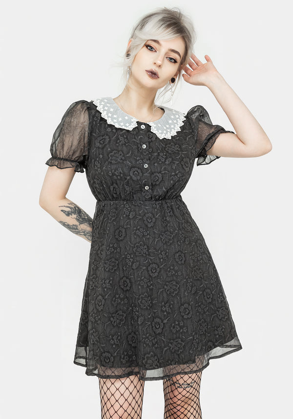 Phantasma Spitze Kragen Mini Kleid