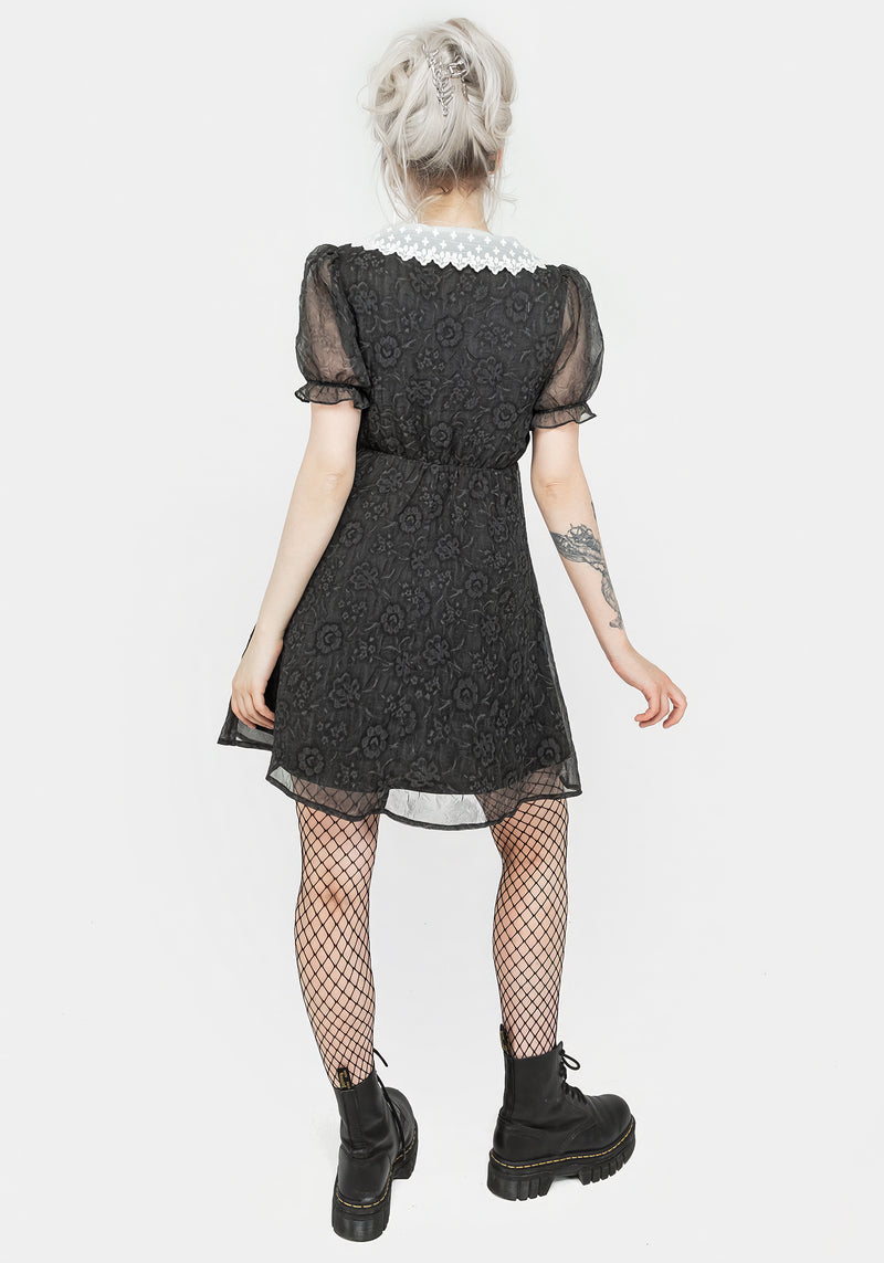 Phantasma Spitze Kragen Mini Kleid