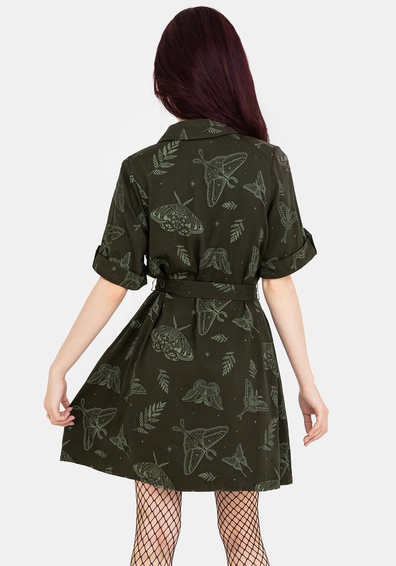 Callopistria Motte Druck Mini Hemd Kleid - Grün