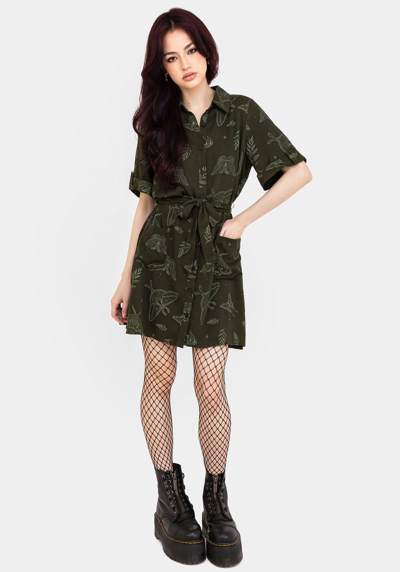 Callopistria Motte Druck Mini Hemd Kleid - Grün