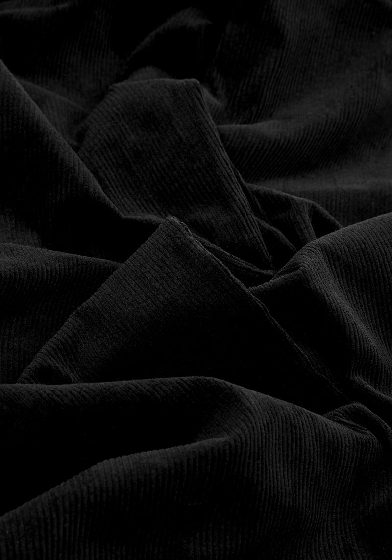 Pipistrelle Ausgestellt Fledermaus Cords