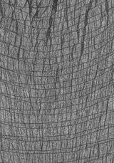 Nightwraith Mesh Kleid