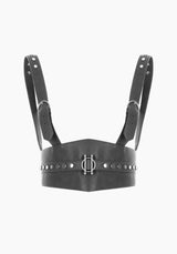 Ciri Harness