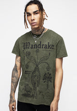 Mandrake Kurz Ärmel T-Shirt - Grün