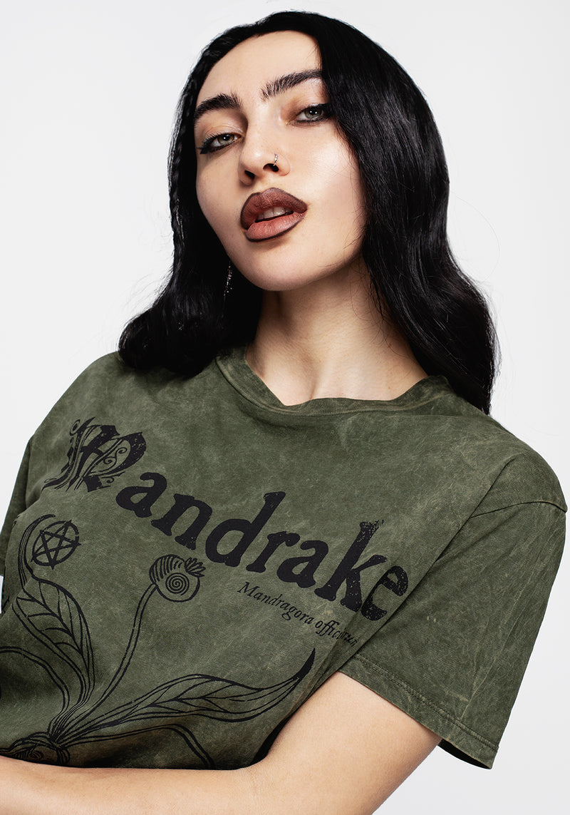 Mandrake Kurz Ärmel T-Shirt - Grün