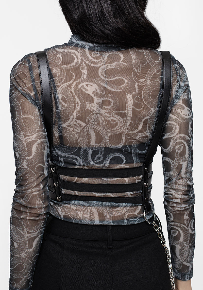 Obsession Caged Harness